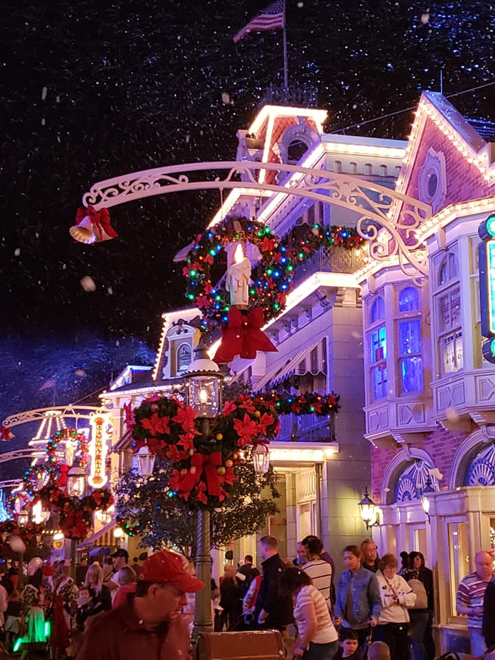 magic kingdom snow